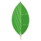 MongoDB